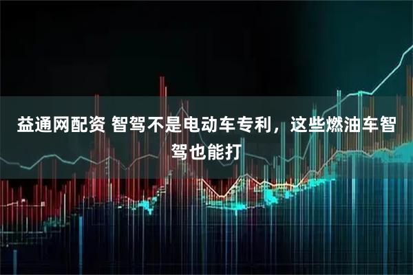 益通网配资 智驾不是电动车专利，这些燃油车智驾也能打